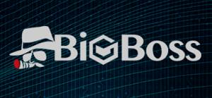 海外FXで人気のおすすめ業者 ランキング BIG BOSSのロゴ
