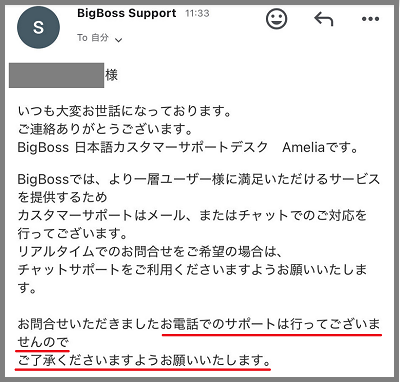 BIG BOSSの電話サポート導入予定について