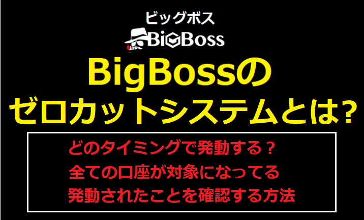 BigBossのゼロカットシステムとは？