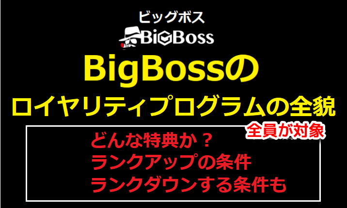 BigBossのロイヤリティプログラムの全貌